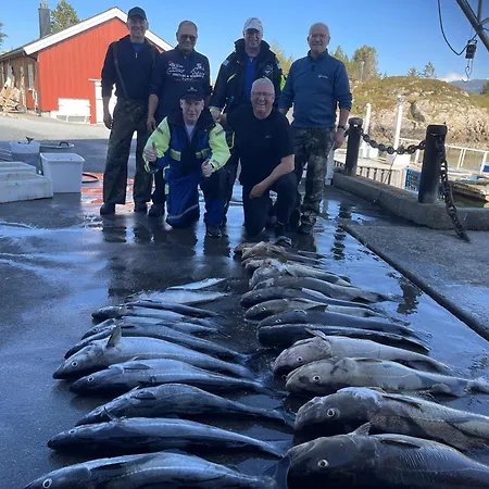 شقة Atlantic Road Seaside Housing Litlrossoya