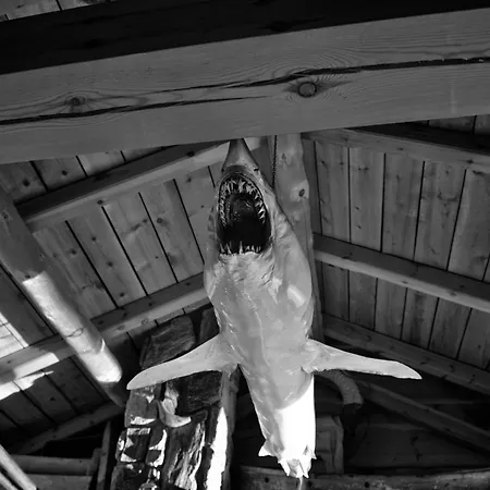 Atlantic Road Seaside Housing * Litlrossoya