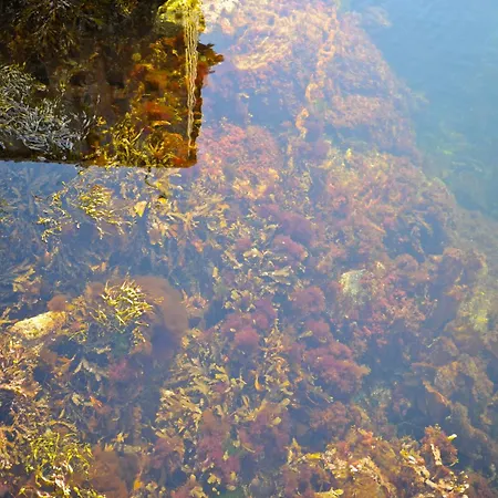 Atlantic Road Seaside Housing شقة