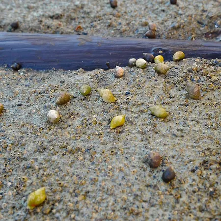 Atlantic Road Seaside Housing شقة Litlrossoya